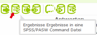 Screenshot: SPSS export